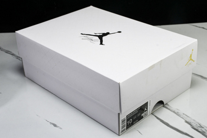 Air Jordan 4 FV7251-107