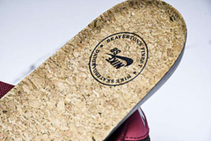 Riot Skateshop x Nike SB Dunk Low FZ1289-200