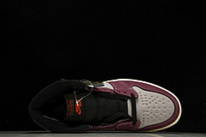air jordan 1 high element gore-tex 