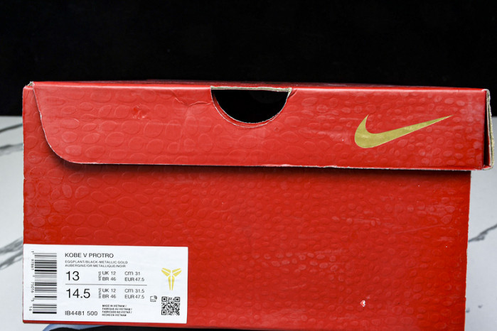 Nike Kobe 5 Protro “Year of the Mamba” IB4481-500