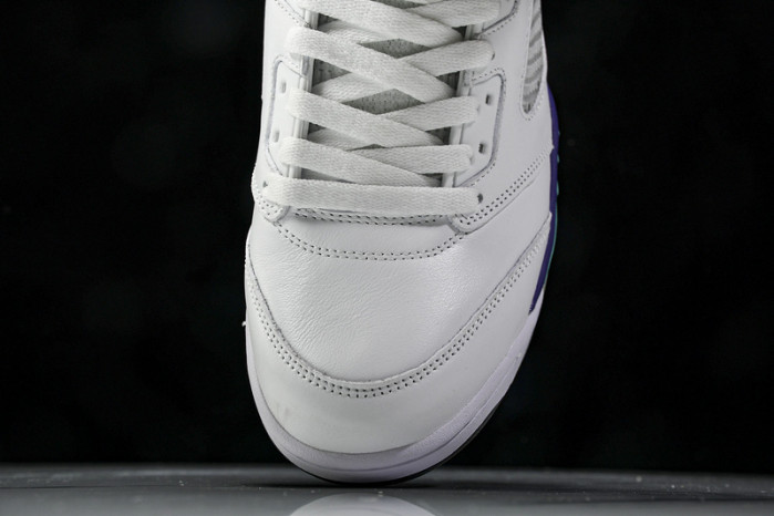 (2013) Jordan 5 Retro Grape 136027-108