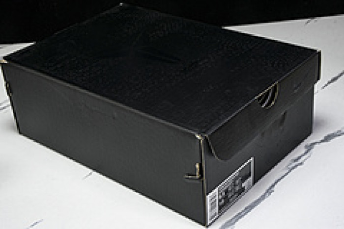 Nike Kobe 8 Protro TB Champagne Gold HM6469-701