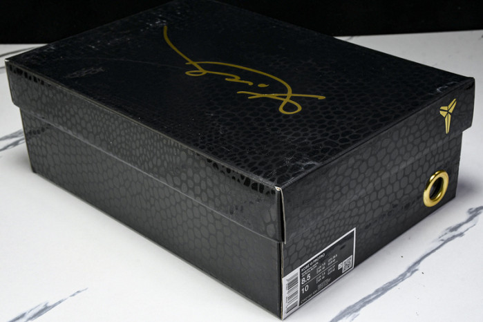 Nike Kobe 6 Protro “Dodgers” CW2190-400