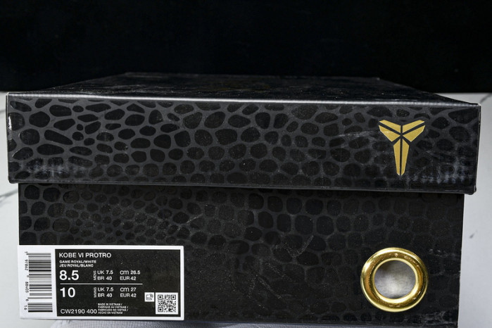 Nike Kobe 6 Protro “Dodgers” CW2190-400