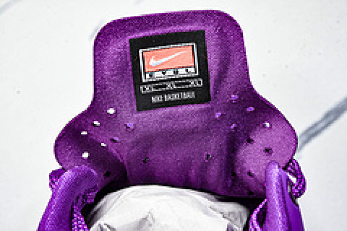 Nike Kobe 8 Protro EYBL HJ7265-500