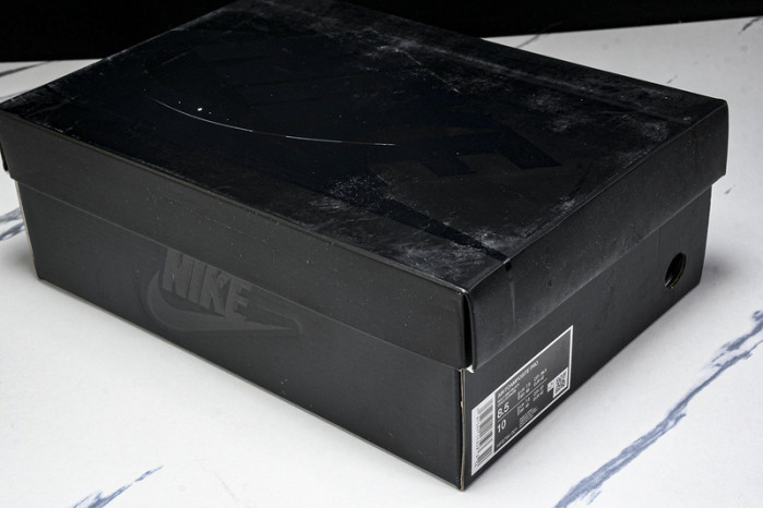 Nike Air Foamposite Pro “Wolf Grey” HF0794-001