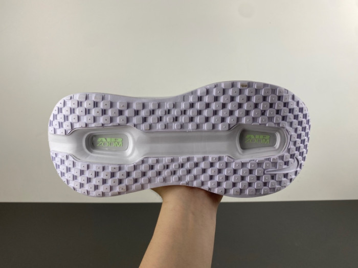 Nike Pegasus Premium FN8453-023