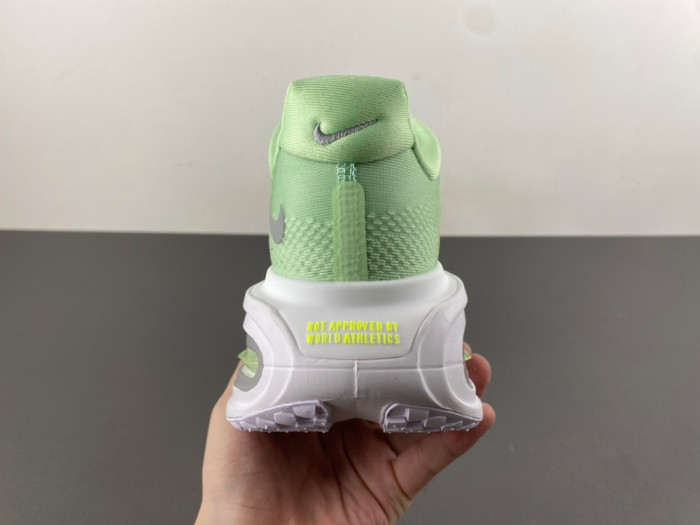 Nike Pegasus Premium FN8453-023