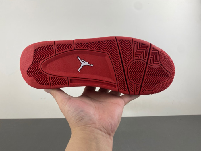 Air Jordan 4 FV5029-600