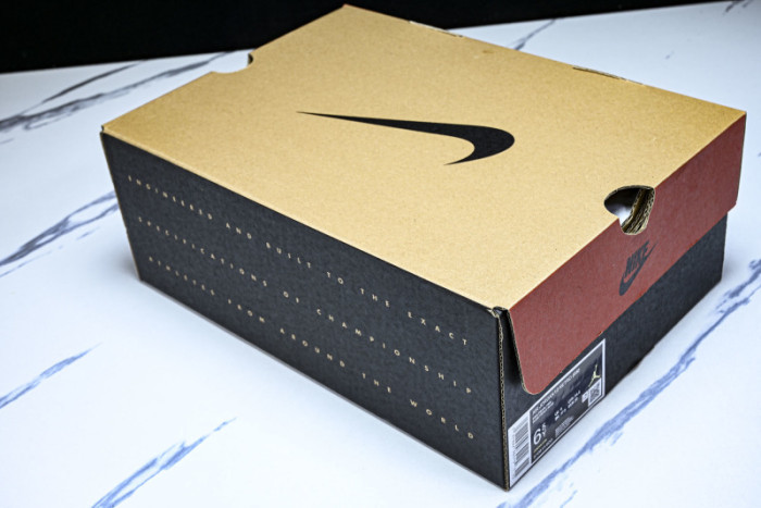 Air Jordan 12 510815-600